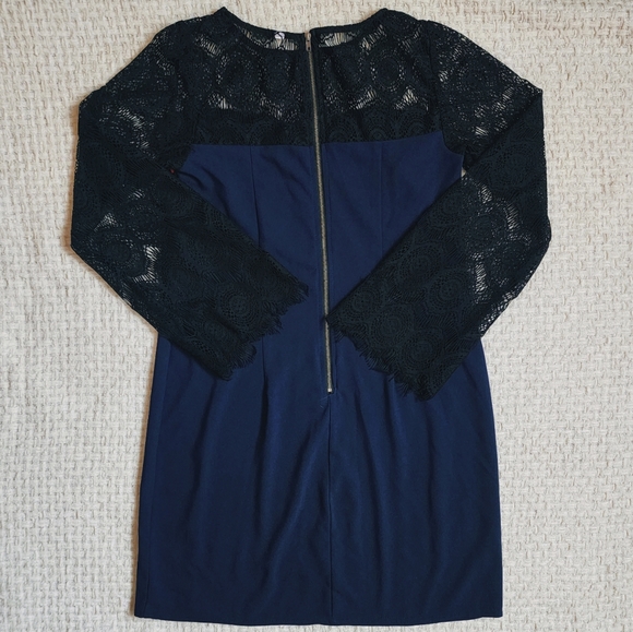 Black and Blue Lace Dress - Picture 3 of 3